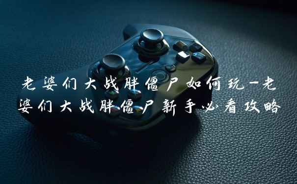 老婆们大战胖僵尸如何玩-老婆们大战胖僵尸新手必看攻略