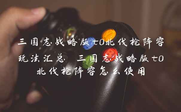 三国志战略版t0北伐枪阵容玩法汇总 三国志战略版t0北伐枪阵容怎么使用