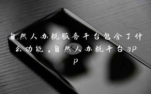 自然人办税服务平台包含了什么功能,自然人办税平台app