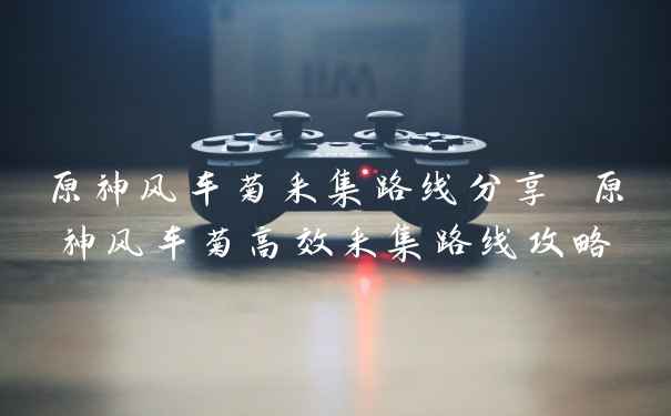 原神风车菊采集路线分享 原神风车菊高效采集路线攻略