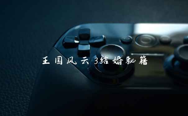 王国风云3结婚秘籍
