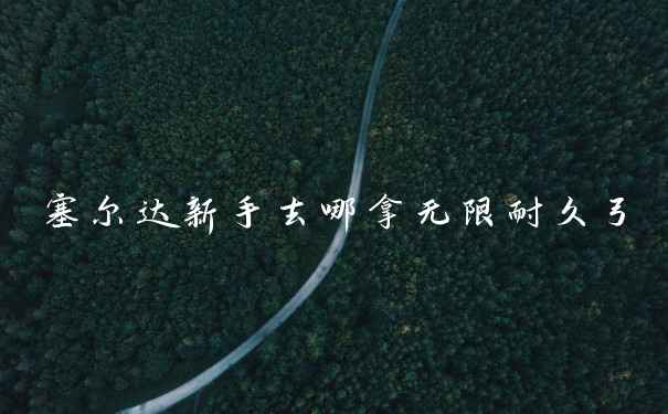 塞尔达新手去哪拿无限耐久弓