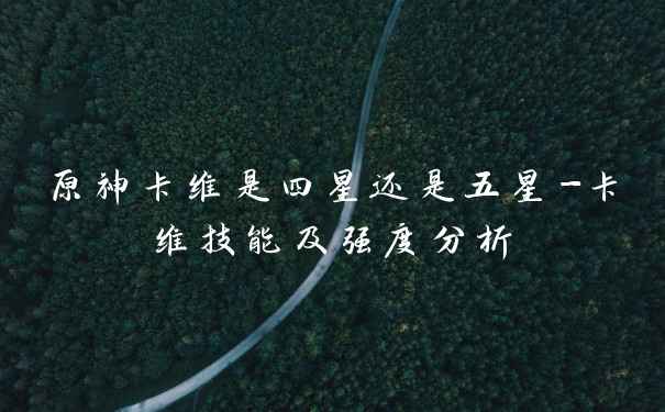 原神卡维是四星还是五星-卡维技能及强度分析