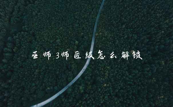 巫师3师匠级怎么解锁