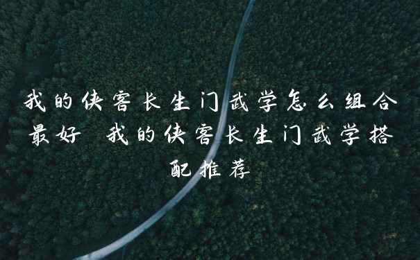 我的侠客长生门武学怎么组合最好 我的侠客长生门武学搭配推荐