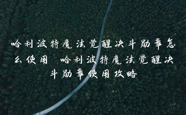 哈利波特魔法觉醒决斗勋章怎么使用 哈利波特魔法觉醒决斗勋章使用攻略