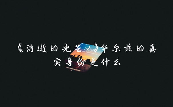 《消逝的光芒2》华尔兹的真实身份是什么