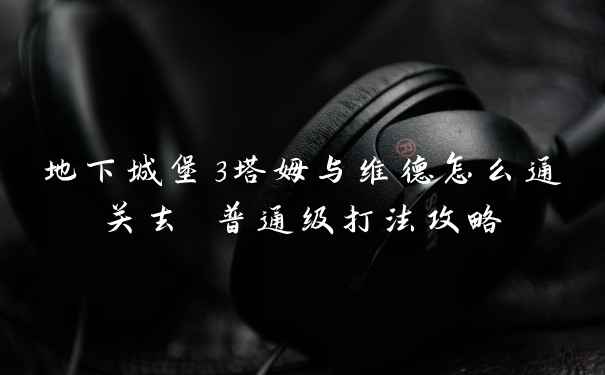 地下城堡3塔姆与维德怎么通关去 普通级打法攻略