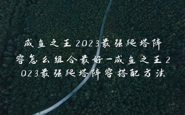 咸鱼之王2023最强爬塔阵容怎么组合最好-咸鱼之王2023最强爬塔阵容搭配方法