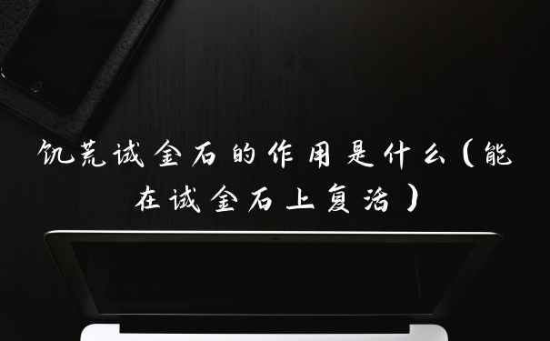饥荒试金石的作用是什么（能在试金石上复活）