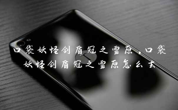 口袋妖怪剑盾冠之雪原,口袋妖怪剑盾冠之雪原怎么去