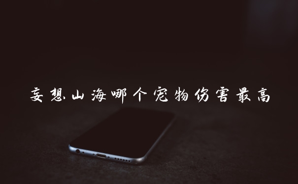 妄想山海哪个宠物伤害最高
