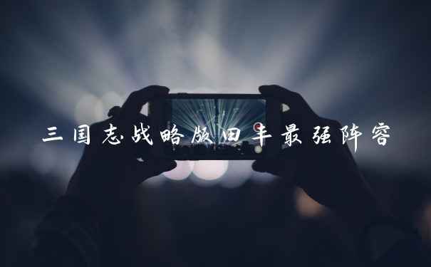 三国志战略版田丰最强阵容