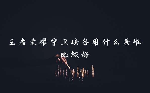 王者荣耀守卫峡谷用什么英雄比较好