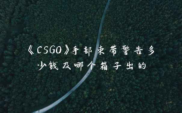 《CSGO》手部束带警告多少钱及哪个箱子出的