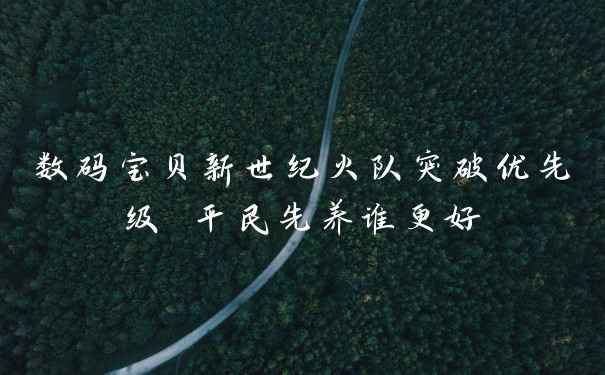 数码宝贝新世纪火队突破优先级 平民先养谁更好