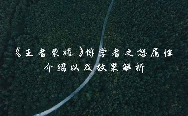 《王者荣耀》博学者之怒属性介绍以及效果解析