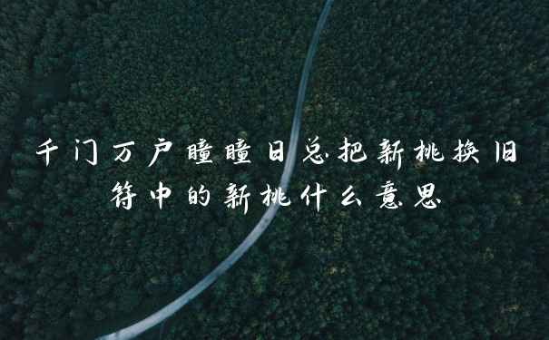 千门万户瞳瞳日总把新桃换旧符中的新桃什么意思