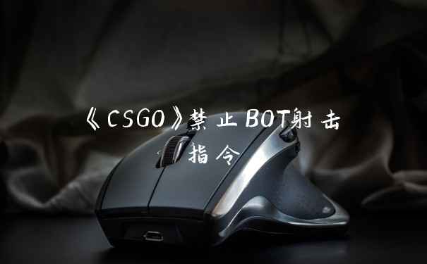 《CSGO》禁止BOT射击指令