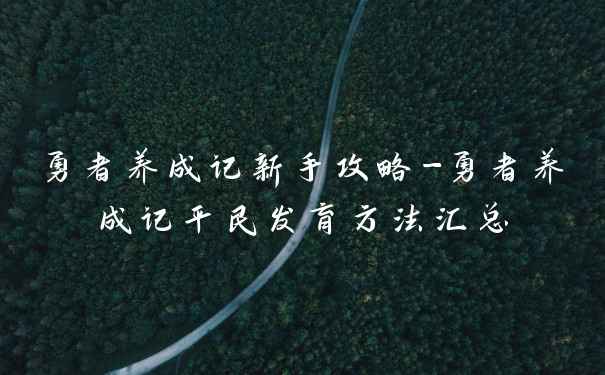 勇者养成记新手攻略-勇者养成记平民发育方法汇总