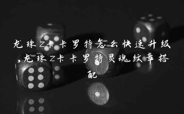龙珠z卡卡罗特怎么快速升级,龙珠z卡卡罗特灵魂纹章搭配