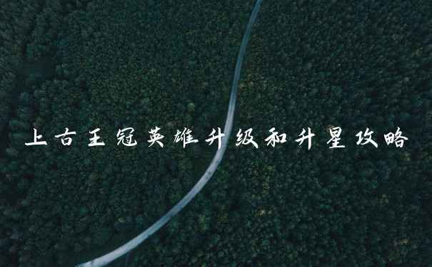 上古王冠英雄升级和升星攻略