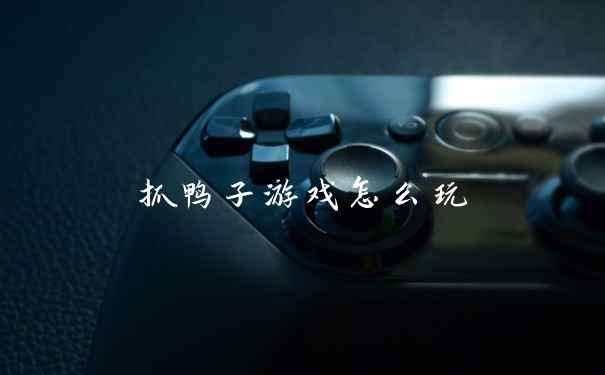 抓鸭子游戏怎么玩