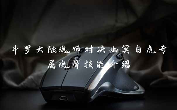 斗罗大陆魂师对决幽冥白虎专属魂骨技能介绍