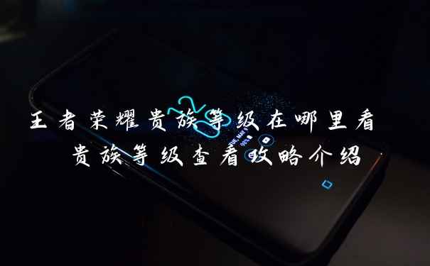 王者荣耀贵族等级在哪里看 贵族等级查看攻略介绍