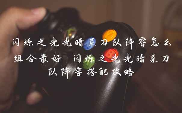 闪烁之光光暗菜刀队阵容怎么组合最好 闪烁之光光暗菜刀队阵容搭配攻略