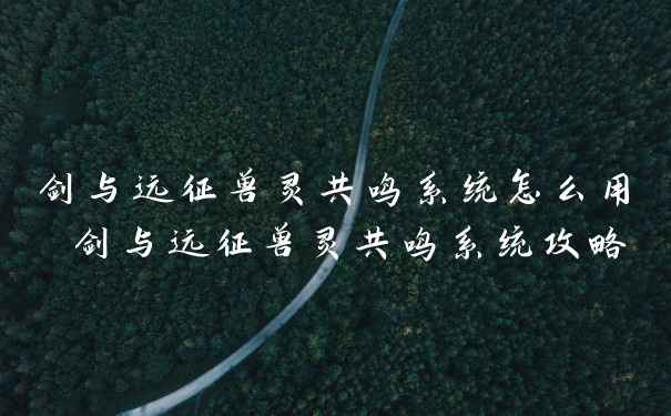 剑与远征兽灵共鸣系统怎么用 剑与远征兽灵共鸣系统攻略