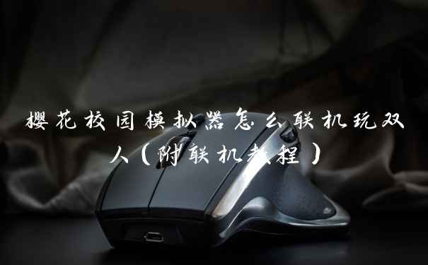 樱花校园模拟器怎么联机玩双人（附联机教程）