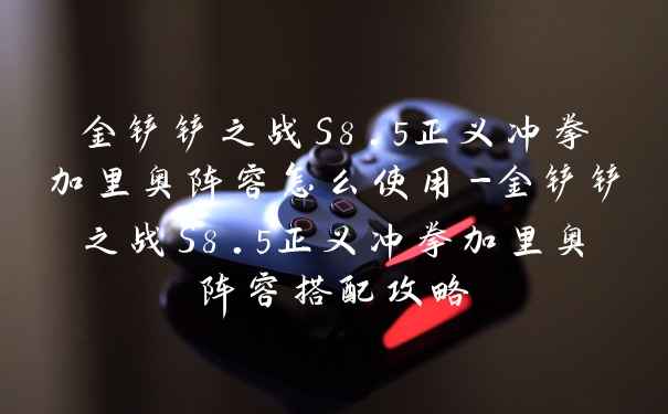 金铲铲之战S8.5正义冲拳加里奥阵容怎么使用-金铲铲之战S8.5正义冲拳加里奥阵容搭配攻略