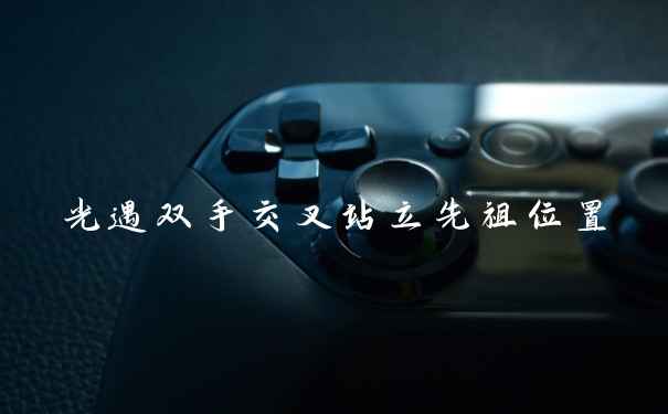 光遇双手交叉站立先祖位置