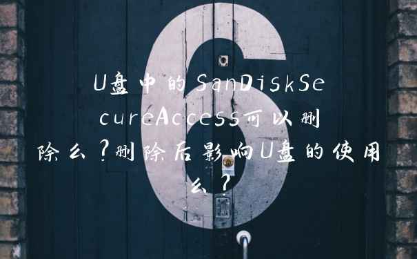 U盘中的SanDiskSecureAccess可以删除么?删除后影响U盘的使用么?