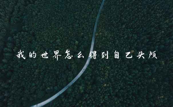 我的世界怎么得到自己头颅