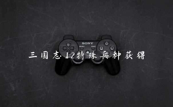 三国志12特殊兵种获得