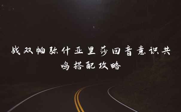 战双帕弥什亚里莎回音意识共鸣搭配攻略