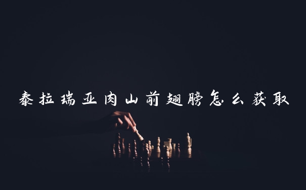 泰拉瑞亚肉山前翅膀怎么获取