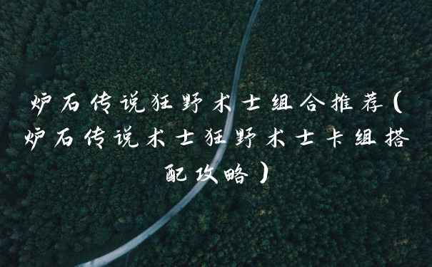 炉石传说狂野术士组合推荐（炉石传说术士狂野术士卡组搭配攻略）