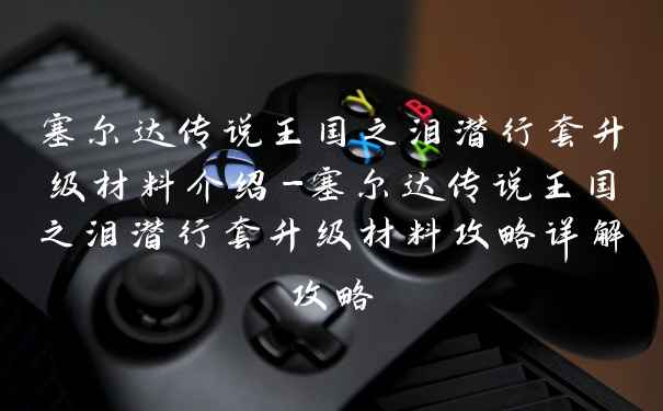 塞尔达传说王国之泪潜行套升级材料介绍-塞尔达传说王国之泪潜行套升级材料攻略详解攻略