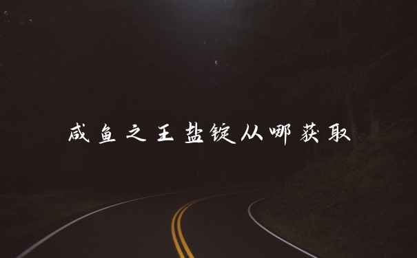 咸鱼之王盐锭从哪获取