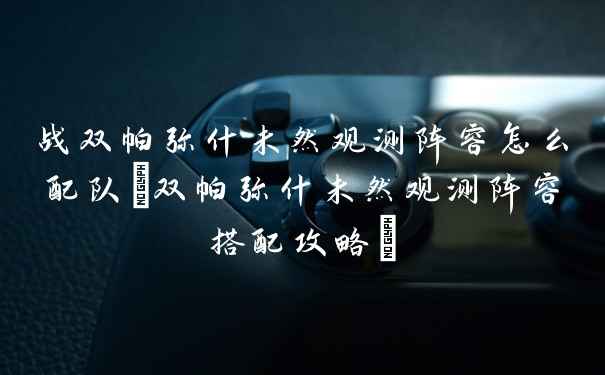 战双帕弥什未然观测阵容怎么配队(双帕弥什未然观测阵容搭配攻略)