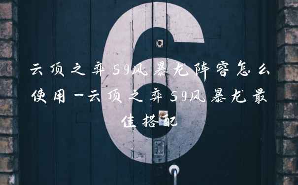 云顶之弈s9风暴龙阵容怎么使用-云顶之弈s9风暴龙最佳搭配