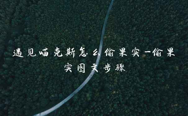 遇见喵克斯怎么偷果实-偷果实图文步骤