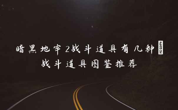 暗黑地牢2战斗道具有几种_战斗道具图鉴推荐