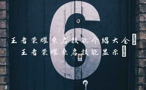 王者荣耀桑启技能介绍大全(王者荣耀桑启技能显示)