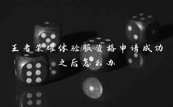 王者荣耀体验服资格申请成功之后怎么办