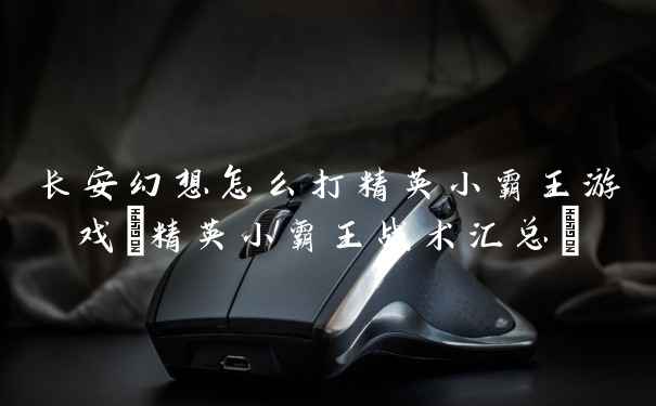 长安幻想怎么打精英小霸王游戏(精英小霸王战术汇总)