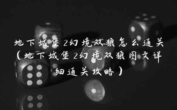 地下城堡2幻境双狼怎么通关(地下城堡2幻境双狼图文详细通关攻略)